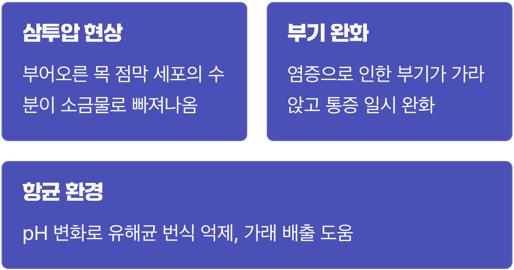 1. 소금물이 효과 있는 과학적인 이유