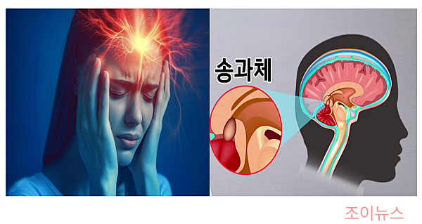 꿀잠을 위한 필수 호르몬, 멜라토닌, 트립토판 등