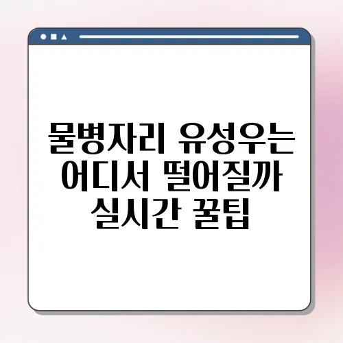 물병자리 유성우는 어디서 떨어질까 실시간 꿀팁