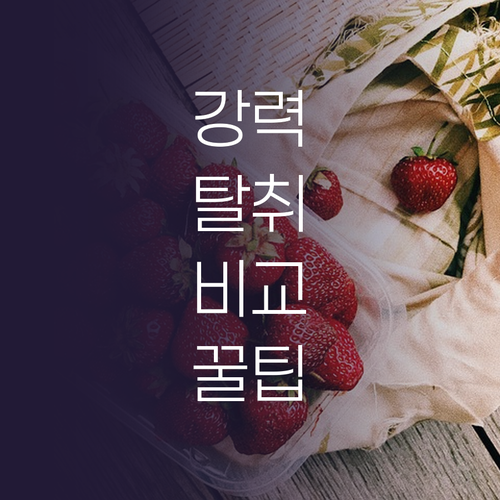 대용량 피톤치드부터 페브리즈까지, 생..
