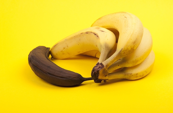 우울증 감소 효능