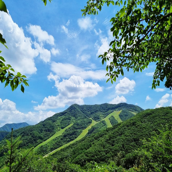 경기도 광주 가볼만한곳 베스트10