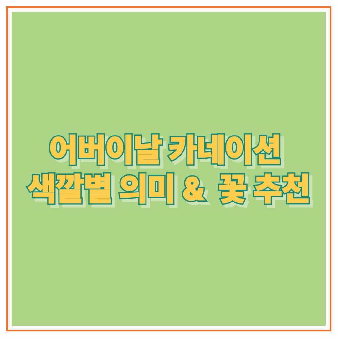 어버이날 카네이션 색깔별 의미 &amp; 선물하기 좋은 꽃 추천