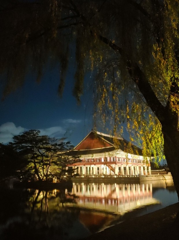 2024 경복궁 별빛야행 기간