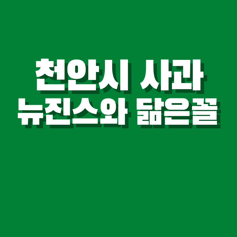 천안시 사과