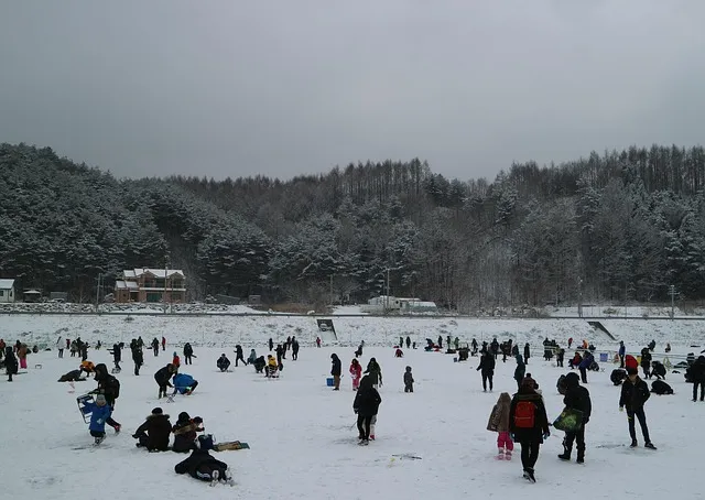 평창 가볼만한곳 베스트10 대관령 양떼목장 허브나라 드라이브_3