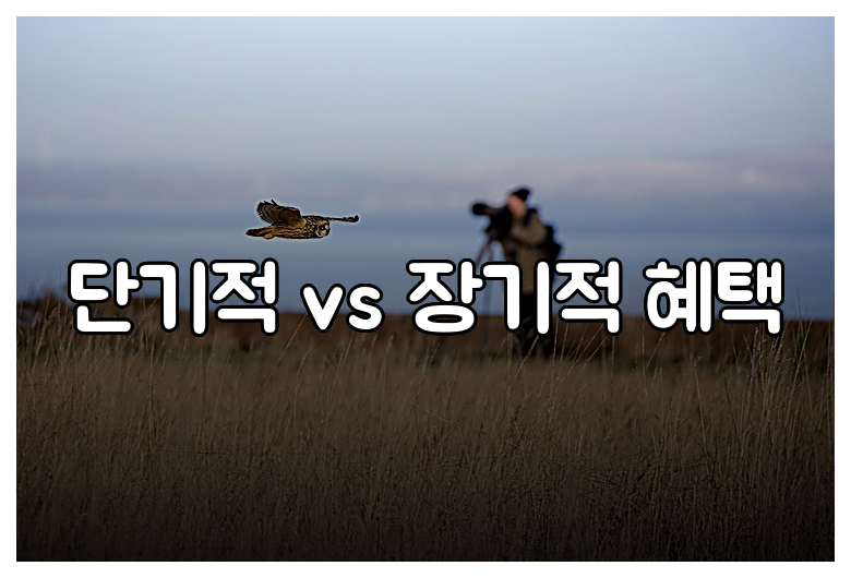 단기적 vs 장기적 혜택