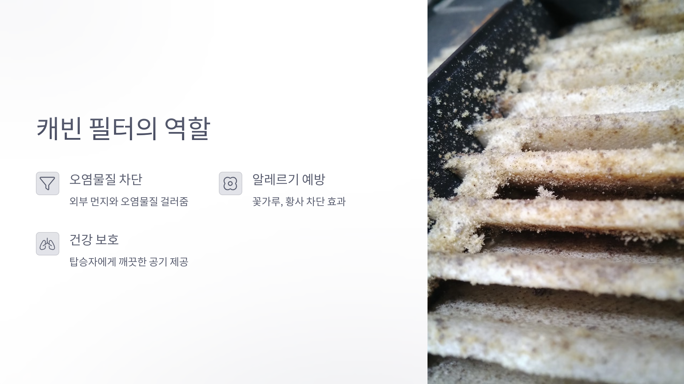 캐빈 필터의 역할