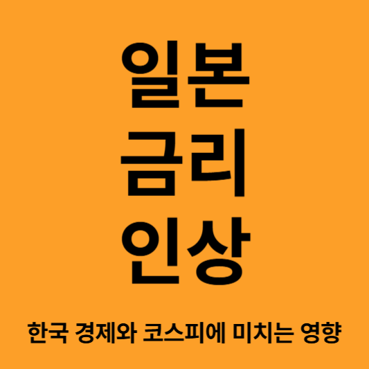 일본 금리 인상
