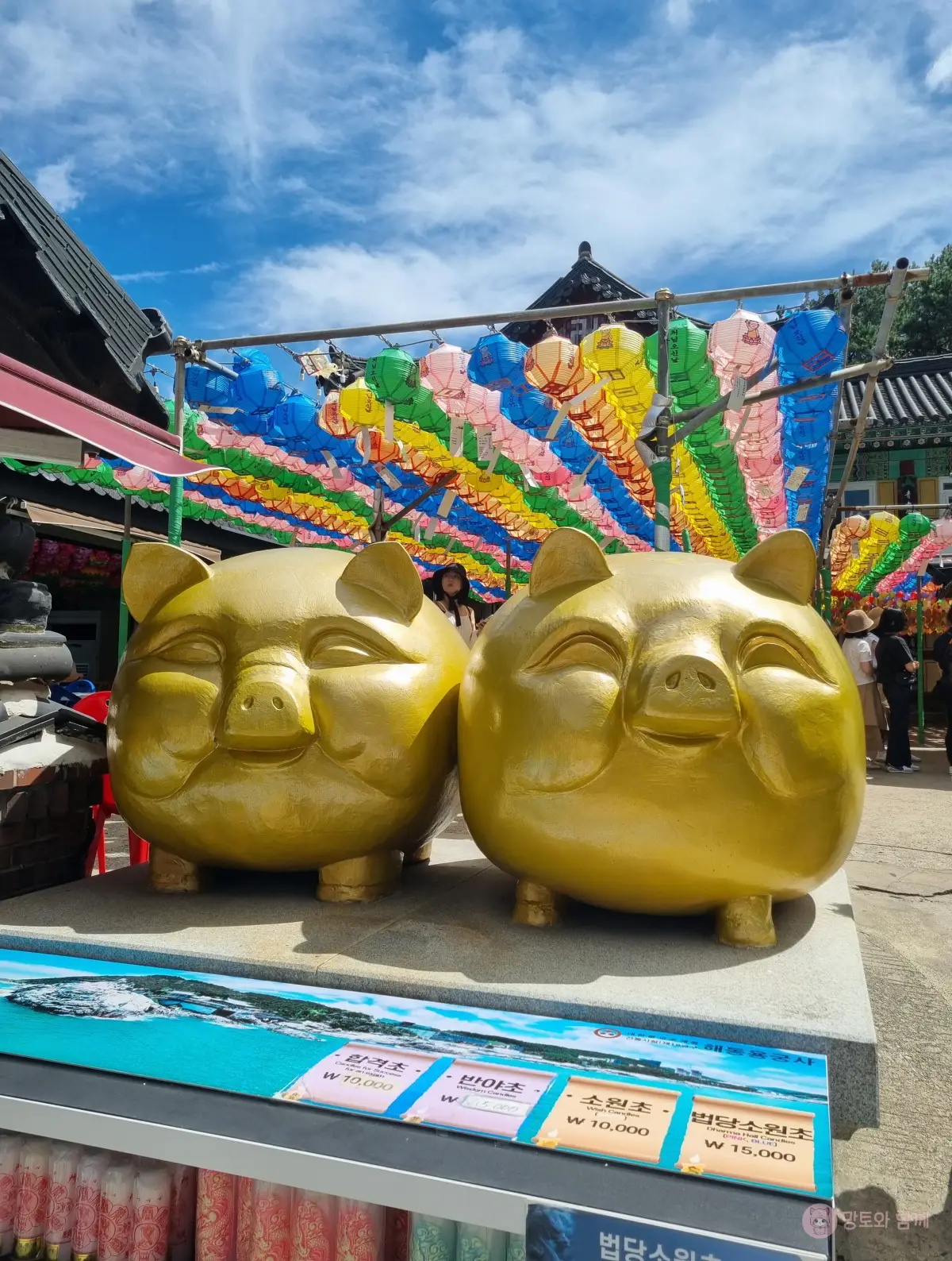 돼지상
