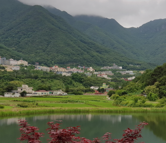 혼자 진주 여행할 때 가기 좋은 조용한 식당 (혼자 밥 먹기, 감성, 현지인 추천)