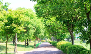 오수의견 관광지