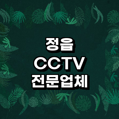 정읍시 cctv