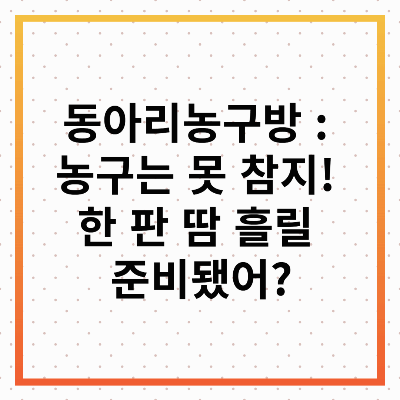 동아리농구방