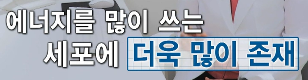 코엔자임q10
