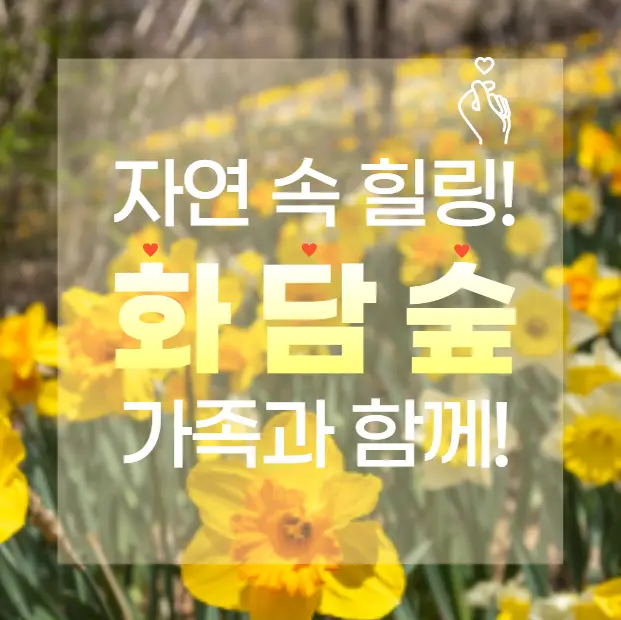 화담숲 예약부터 모노레일까지! 가족여행 필수코스