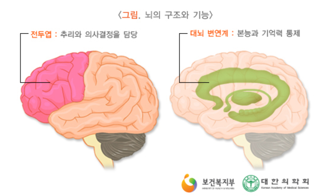 치매란? 치매와 유사한 증상의 병들
