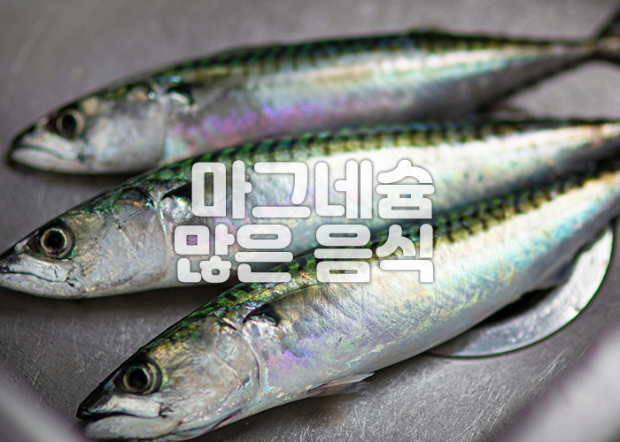 고등어 이미지