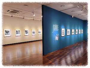 동강사진박물관