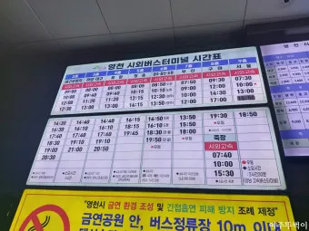 영천 시외버스터미널 시간표 예매 요금_3