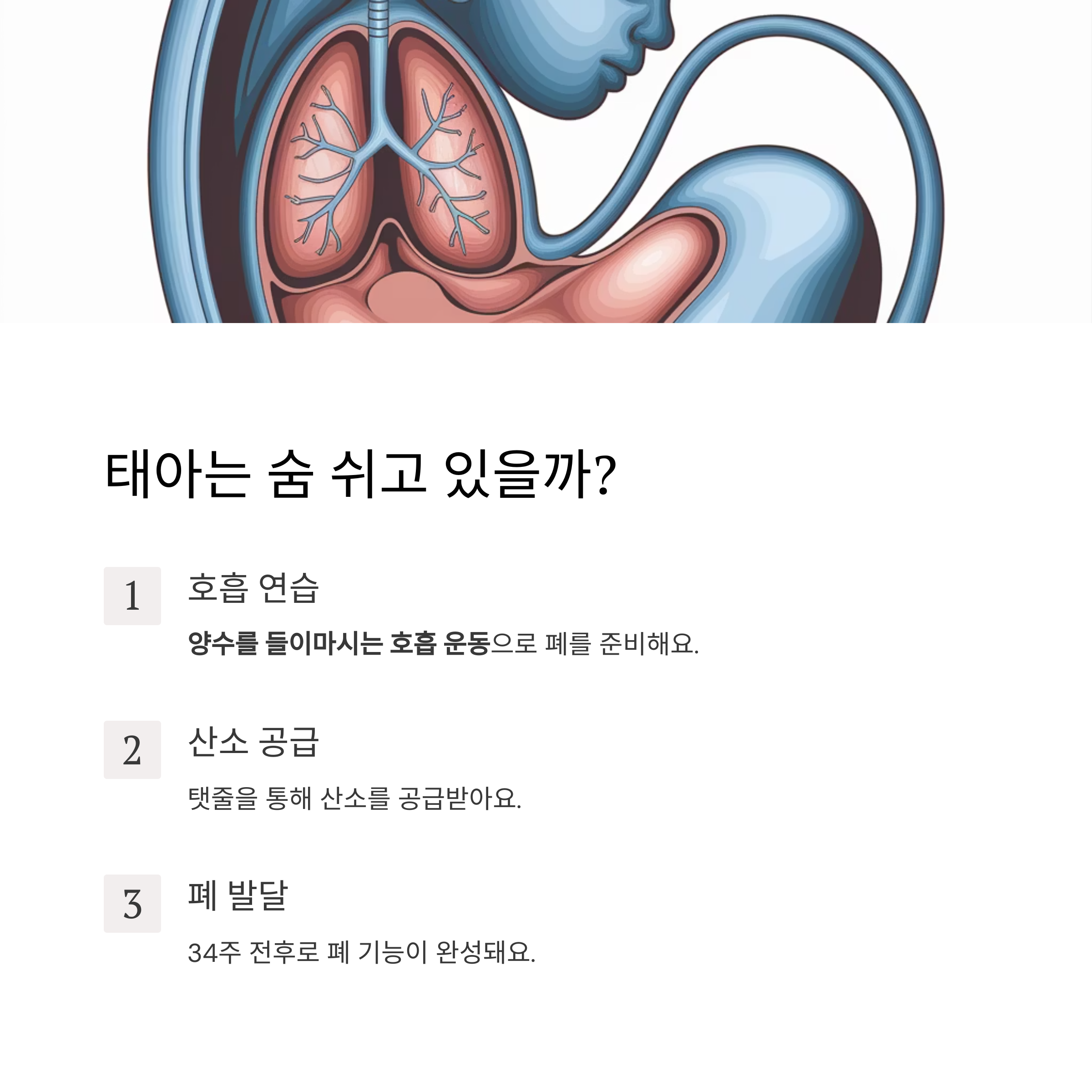 태아 활동 &ndash; 태아의 호흡 연습과 폐 발달