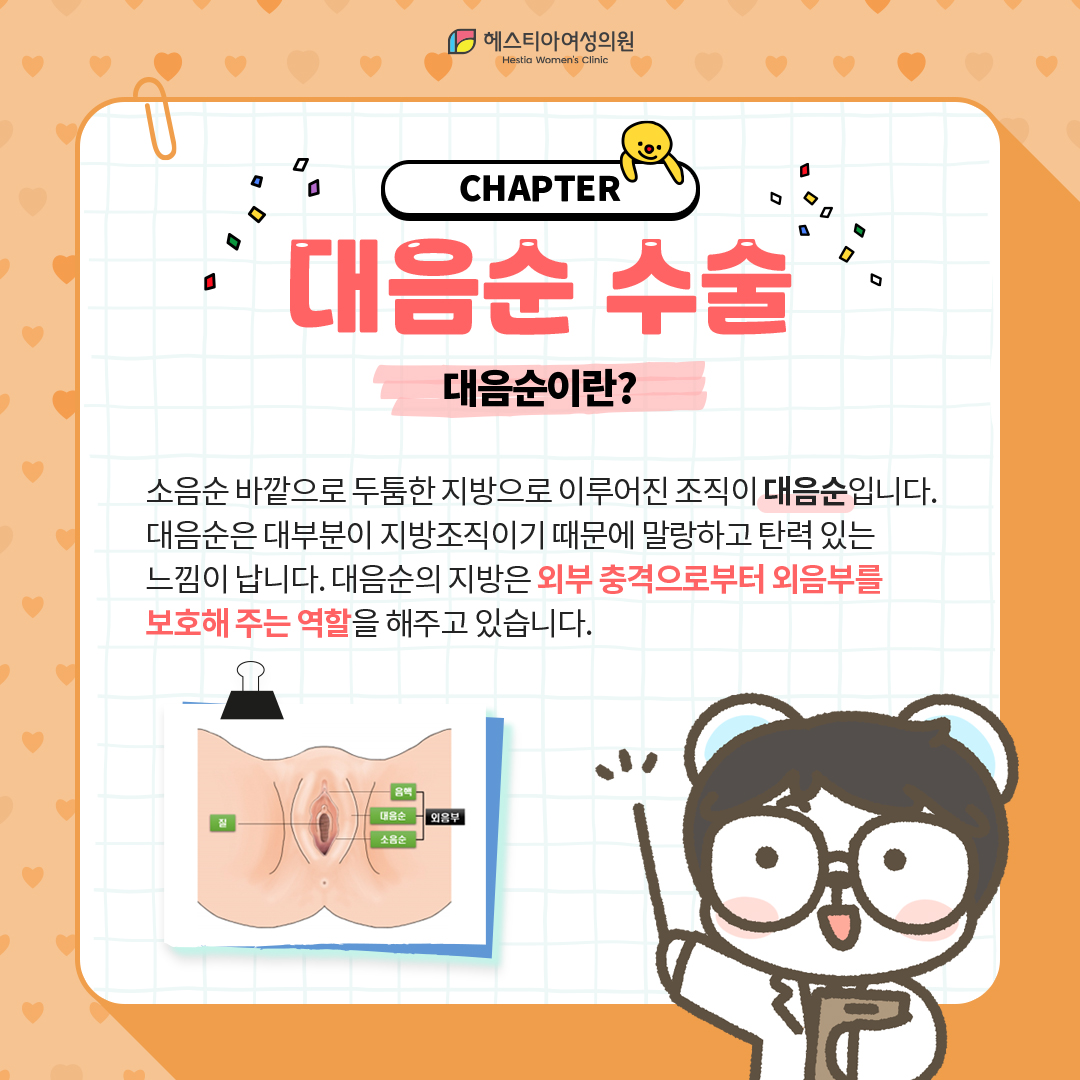 대음순수순수술 대음순이란?