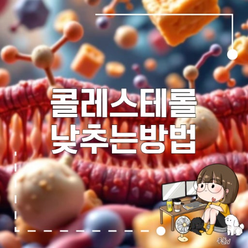 콜레스테롤 관리 방법 알아보기