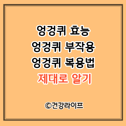 엉겅퀴 효능&#44; 엉겅퀴 부작용&#44; 엉겅퀴 복용법