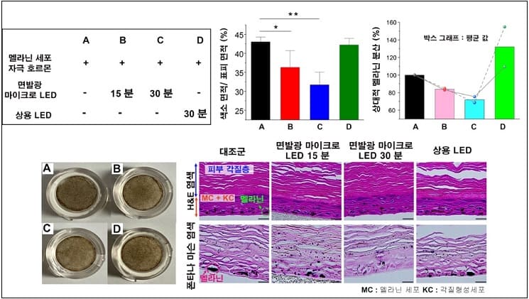 카이스트, 피부 미백에 획기적 효과 '면 발광 마이크로 LED 패치' 개발