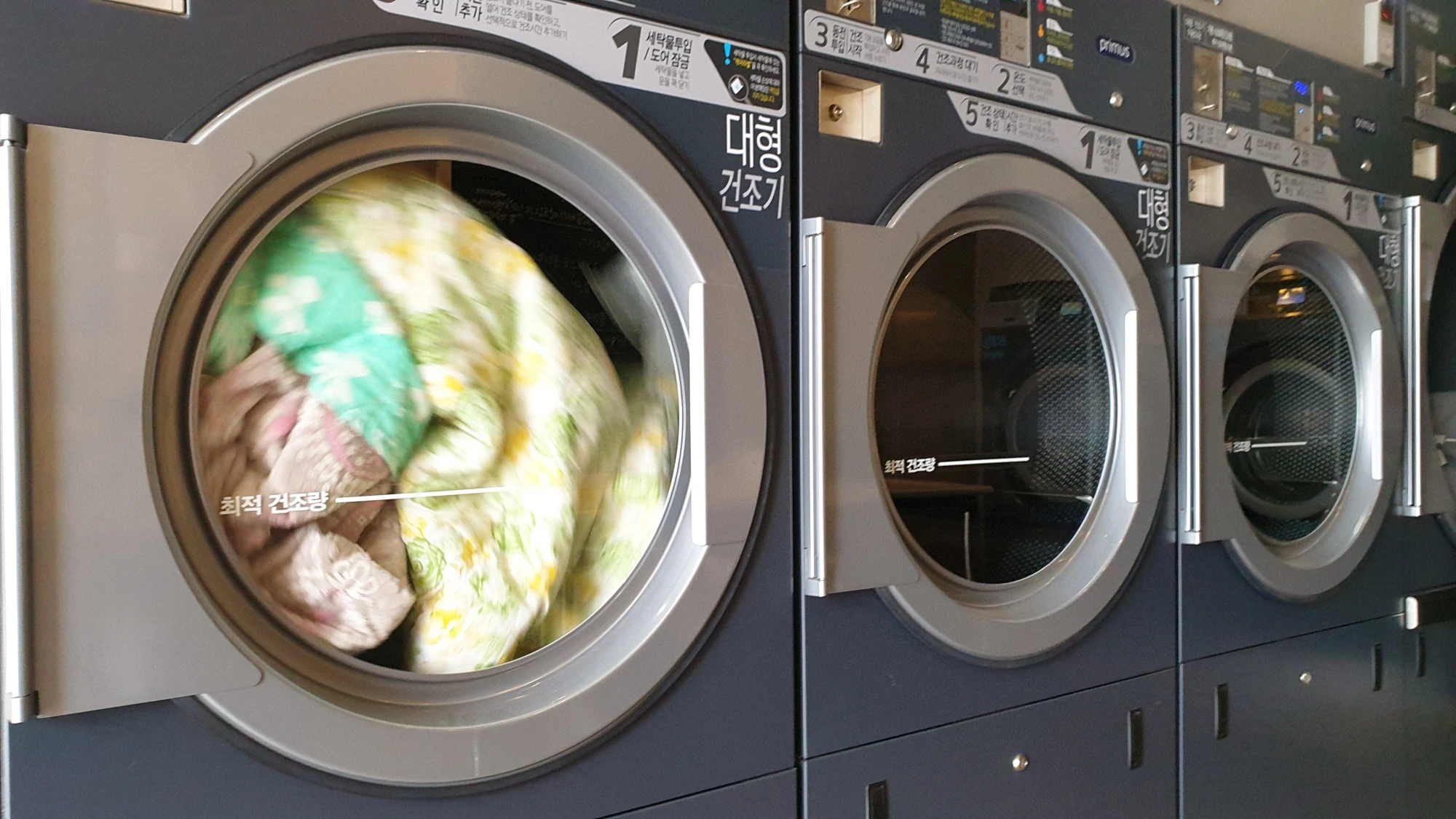 코인건조기 사용 모습