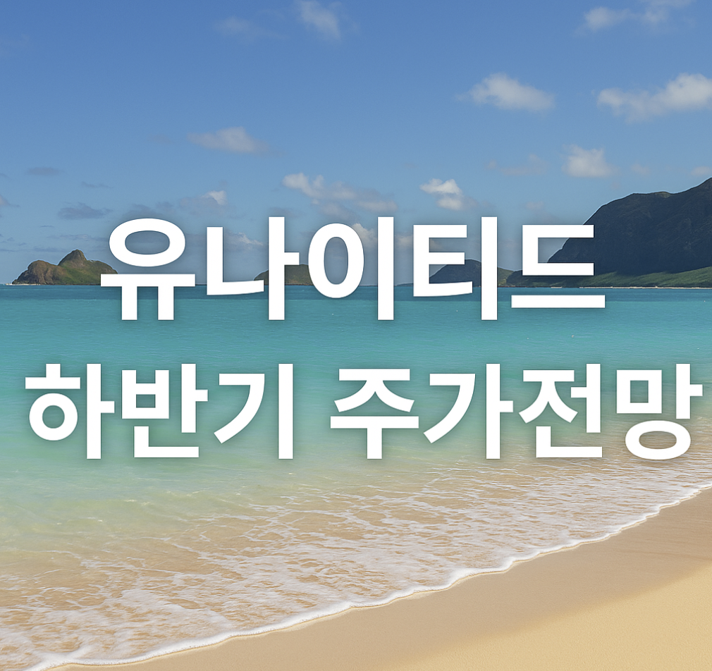 유나이티드 헬스케어 하반기 주가 전망