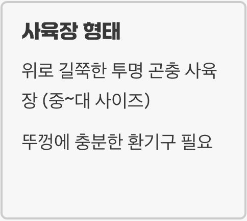 온순한 사냥꾼을 위한 보금자리