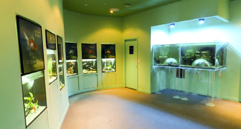 단양 아쿠아리움