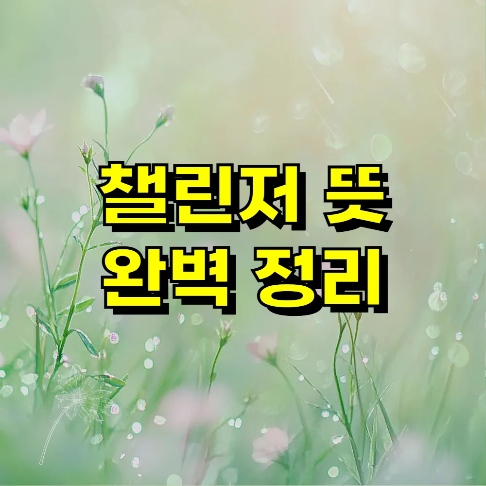 챌린저 뜻 완벽 정리
