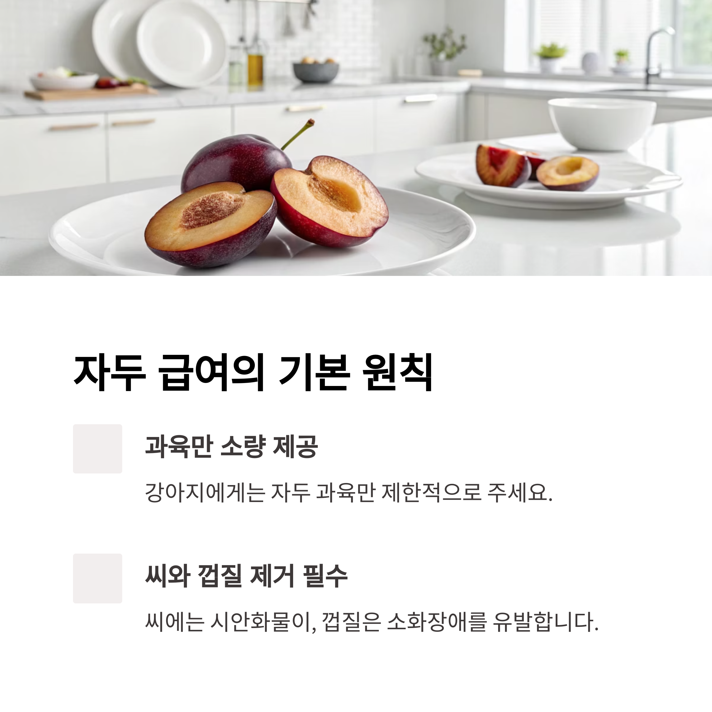 자두 급여의 기본 원칙