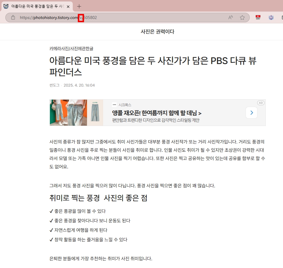티스토리 수익을 다 빨아가는 대체 사이트 몰래 생성