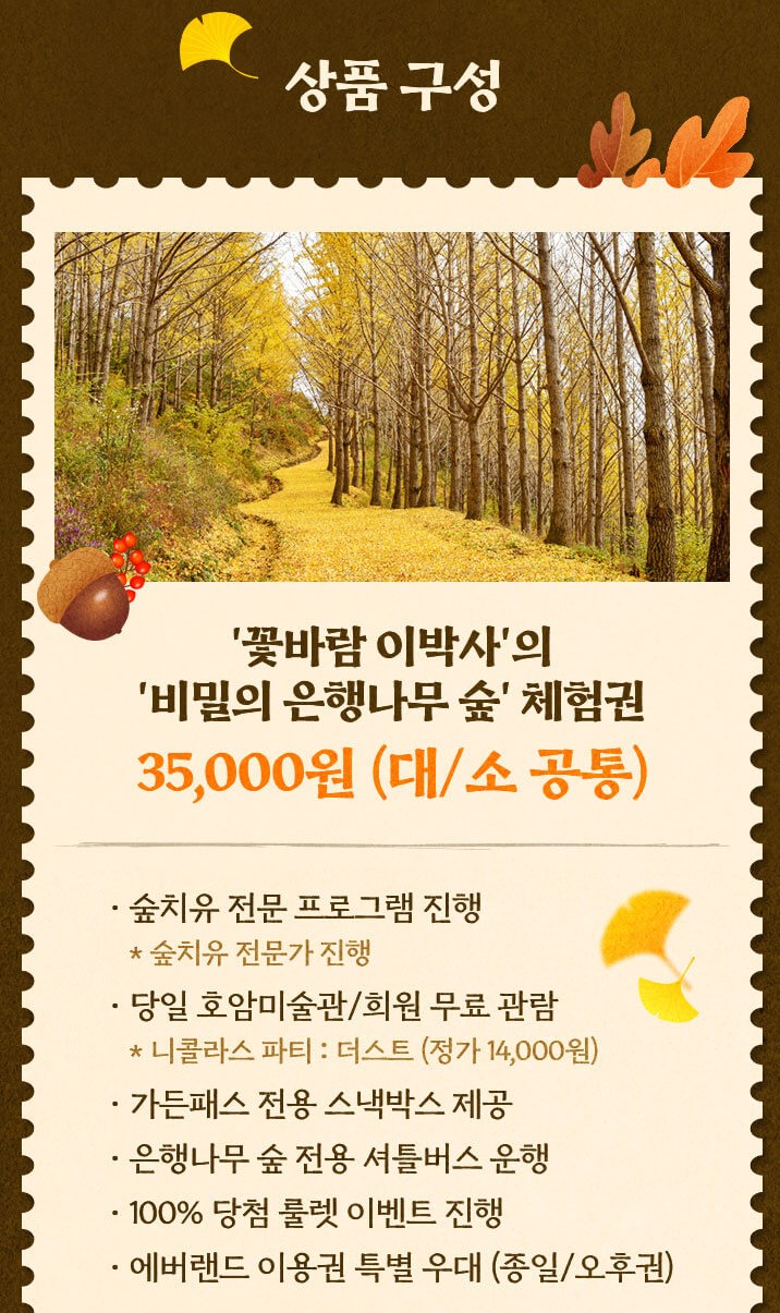 비밀의 은행나무숲 소개