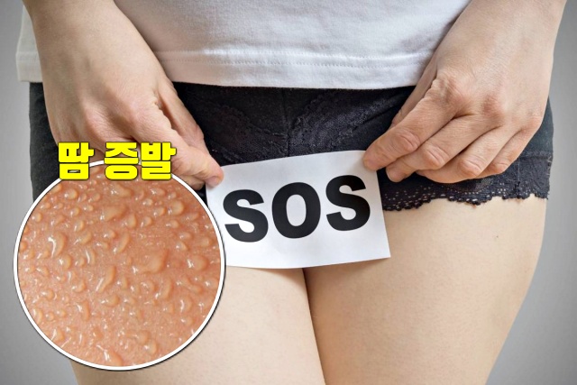 여성 사타구니 냄새 여성사각팬티, 건강 팁줌 매일꿀정보