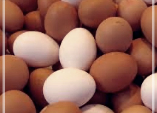 구운계란의 효능, 부작용, 보관방법에 대해