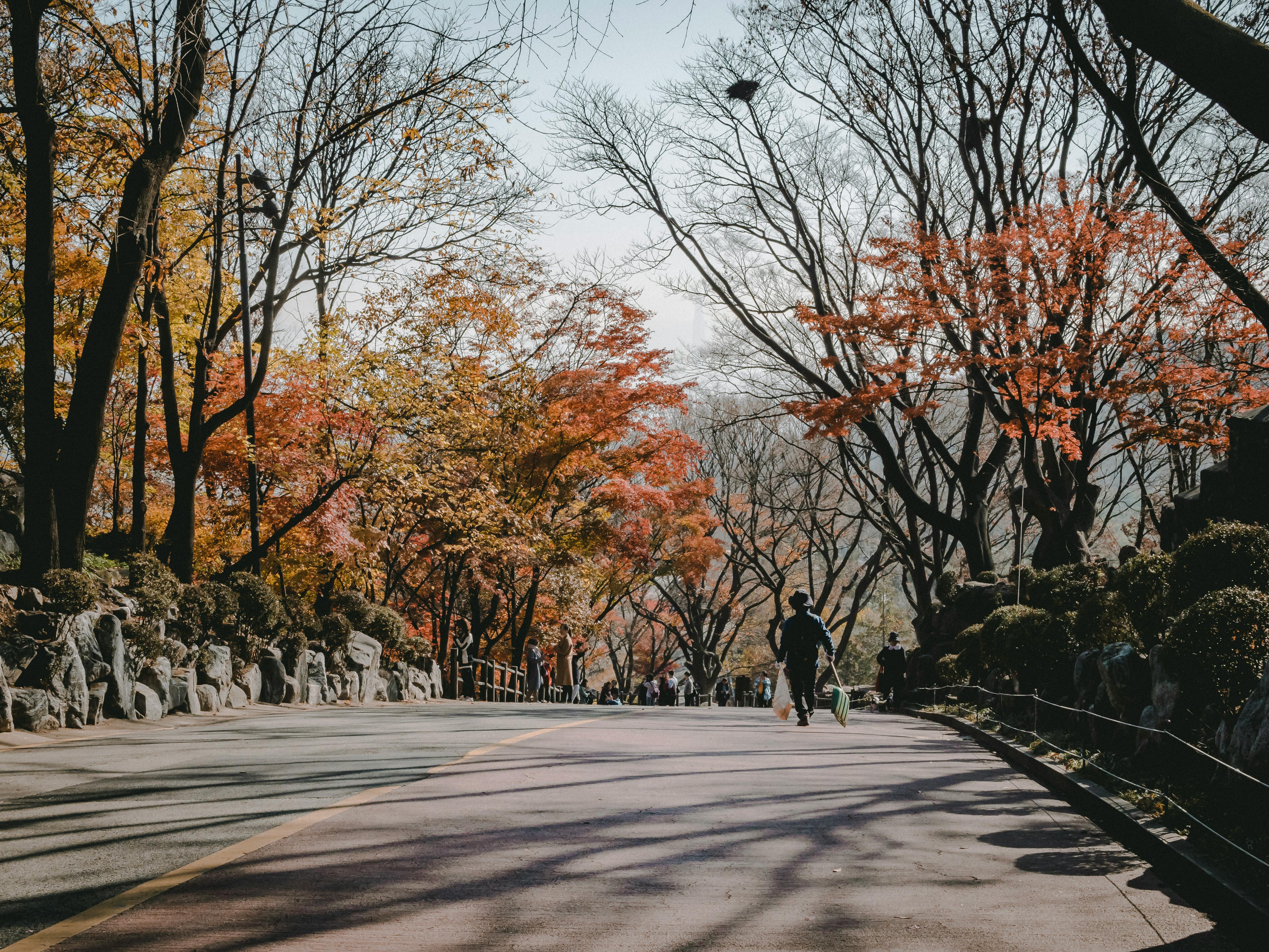 서울 가볼만한 곳