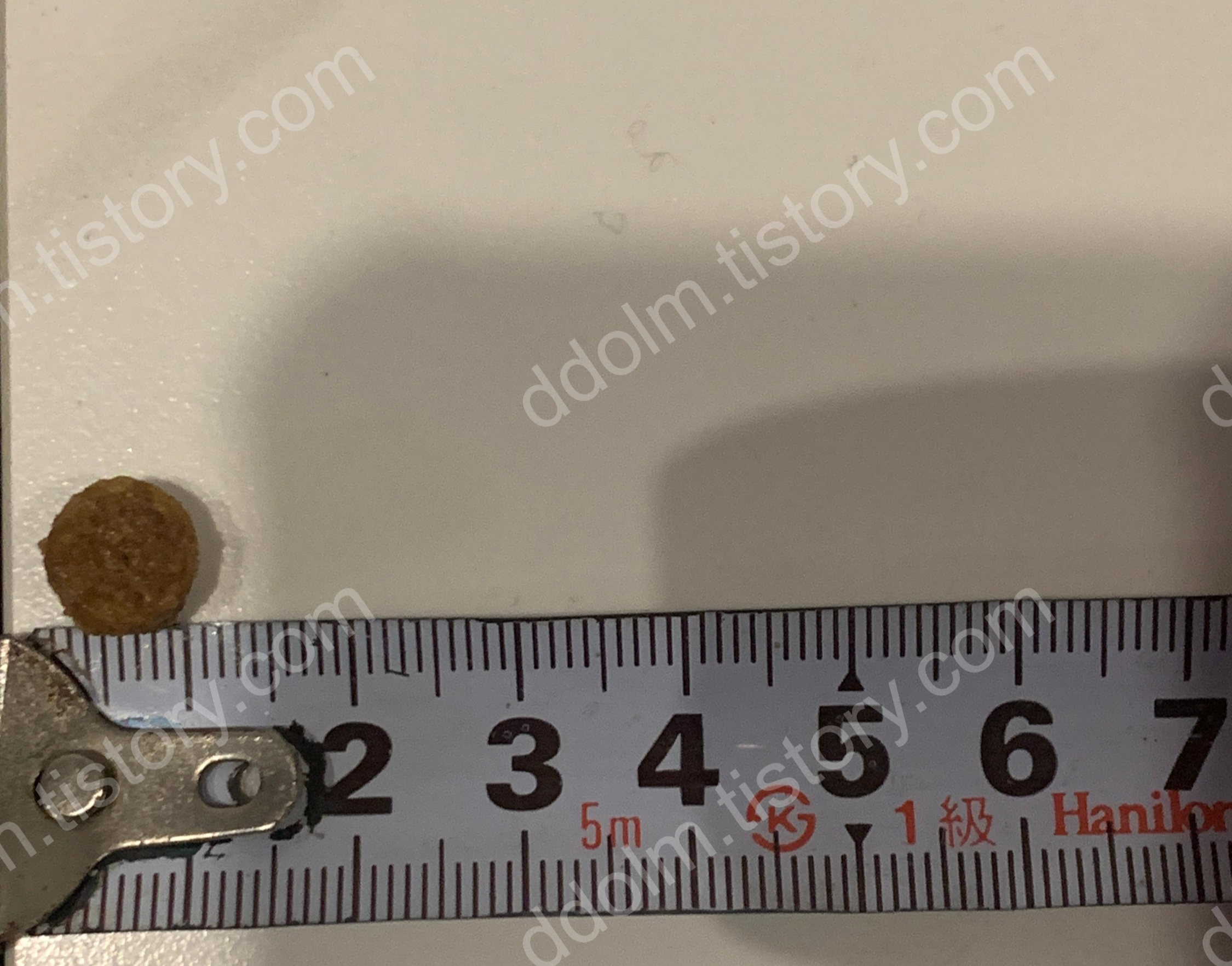 강아지 신부전 사료 비교