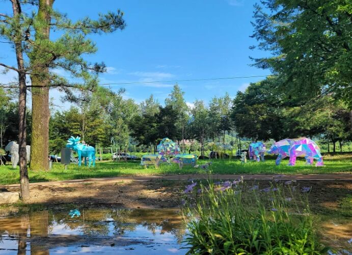 화천 산천어축제 가볼만한 곳