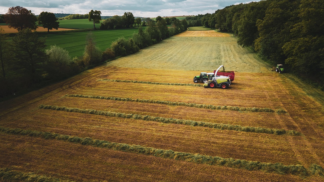 지역별 현대인 건강관리 실태 관련 사진
