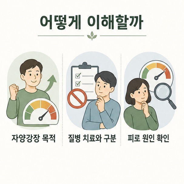경옥고는 자양강장 목적으로 사용하며 질병 치료와는 구분하고 지속되는 피로는 원인을 확인해야 한다는 설명 이미지