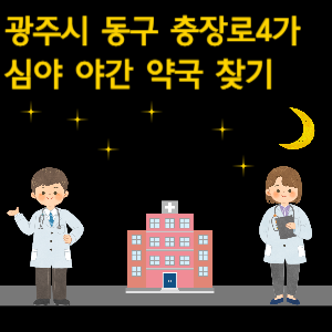 광주시 충장로4가 심야 야간 약국 찾기