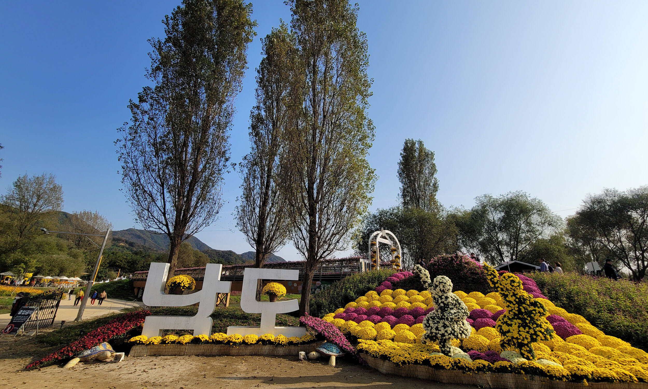 가평 자라섬 꽃축제 꽃 페스타