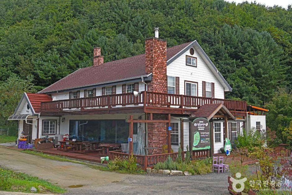 평창 가볼만한곳 베스트 10