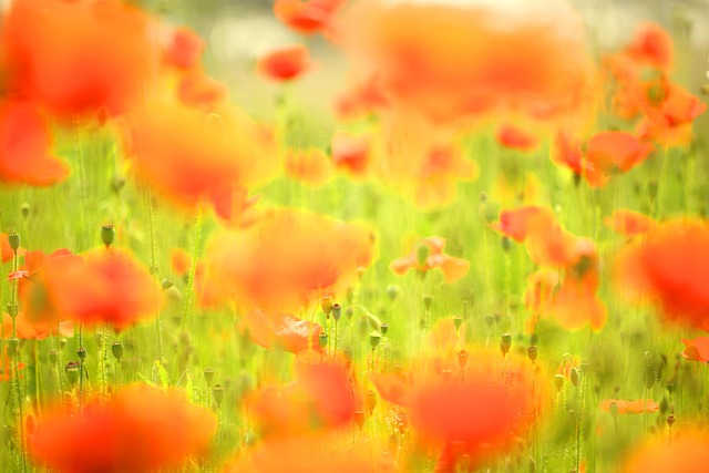 시력 저하가 느껴질 때 꼭 알아야 할 눈 건강 정보