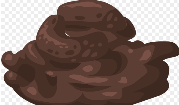 위암 초기증상 29