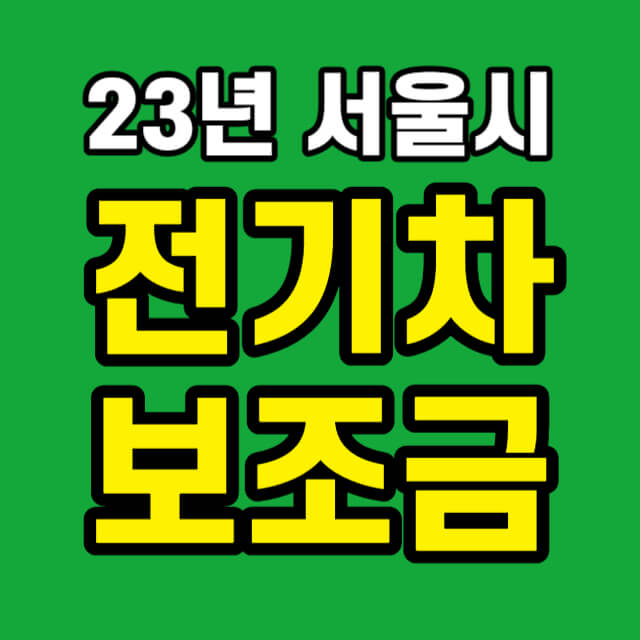 서울시 전기차 보조금